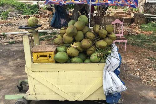 Apartamento Luxury 2br Home Facing Beach W/pool Montego Bay #5