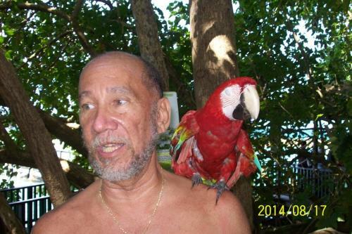 Bed & Breakfast Wataview