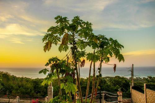 Sunshine Lodge: Your Home Away From Home