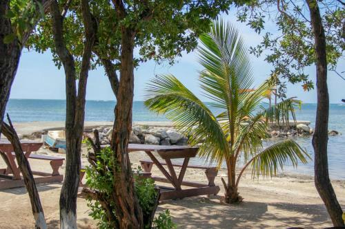 Sunshine Lodge: Your Home Away From Home