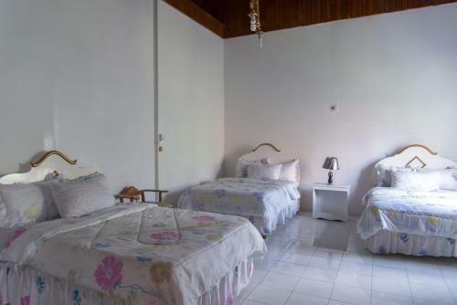 Bed & Breakfast Villa Diamond Guest House