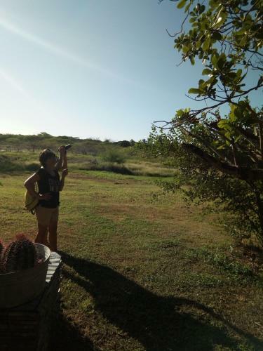 Blossom Bed And Breakfast