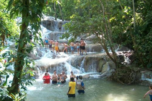 Villa Ocho Rios Under The Palms III