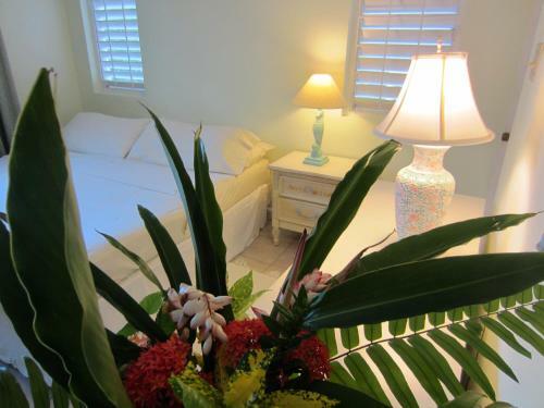 Agroturismo Morning Glory Villas