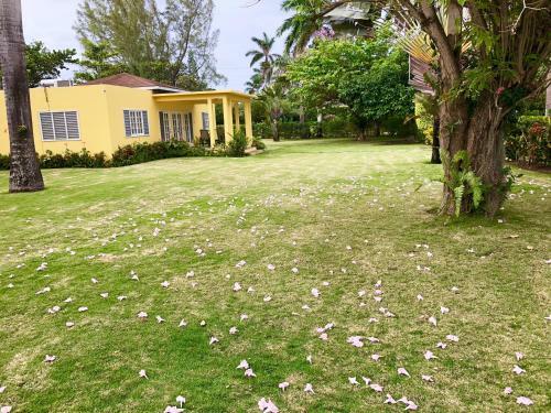 Agroturismo Morning Glory Villas