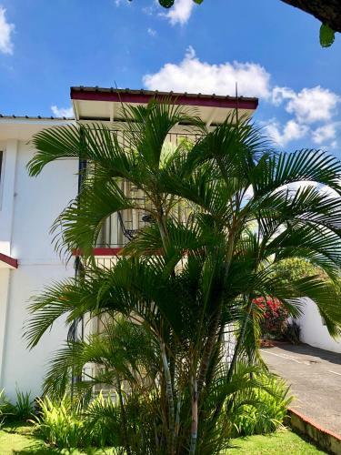 Apartamento Seymour Court Fedlyn