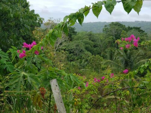 Agroturismo Farmhill Retreat