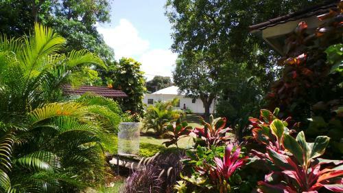 Bed & Breakfast La Cousins Bnb