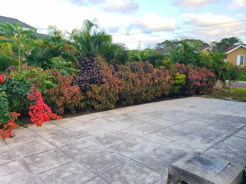 I Heart Ja Modern Luxury Villa In Drax Hall