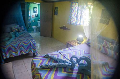 Hostal Go Natural Jamaica