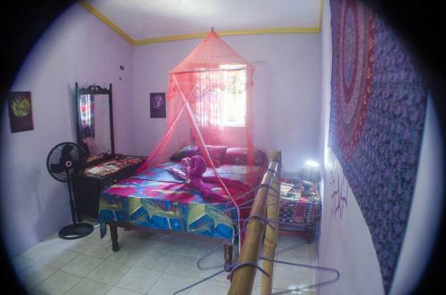 Hostal Go Natural Jamaica