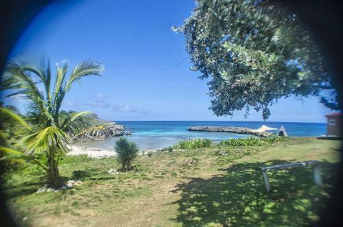 Hostal Go Natural Jamaica