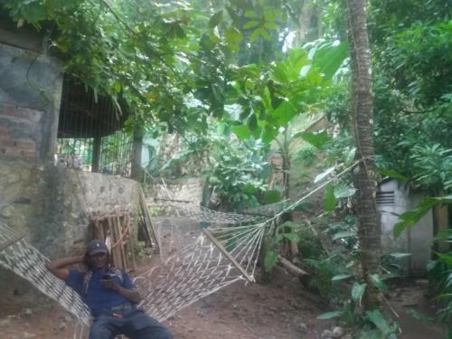 Albergue Jungle In Town