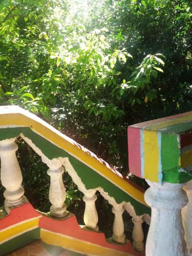 Albergue Jungle In Town