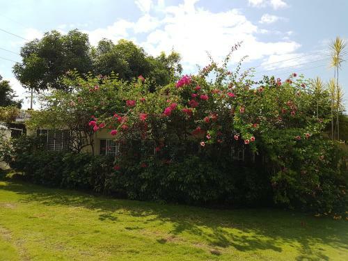 Posada Kingston Cottage