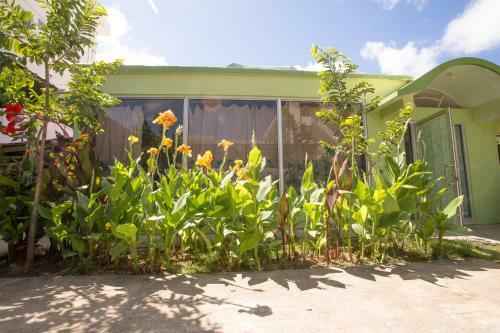 Hostal G.t. Guest House
