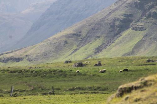L�kjarhus Farm Holidays