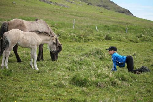 L�kjarhus Farm Holidays