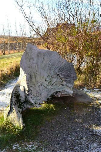 L�kjarhus Farm Holidays