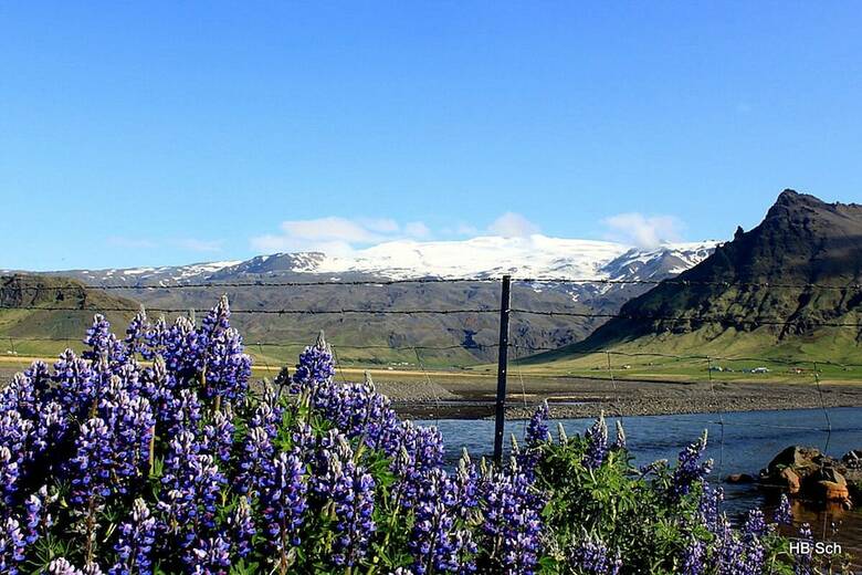 Agroturismo South Iceland Guesthouse