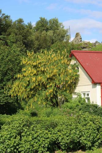 Apartamento Lava Water - Mi�hraun