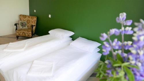 Albergue Snotra House