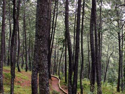 Monteverde