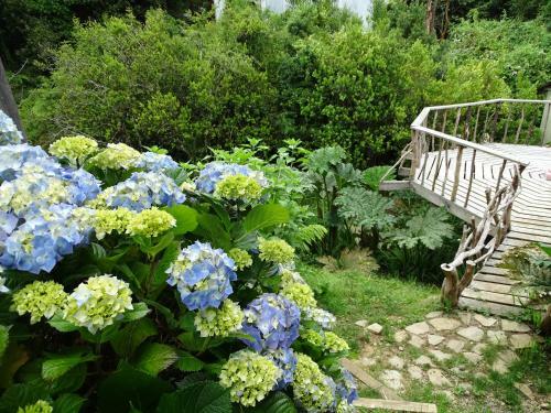 Apartamento Caba�as Las Hortensias