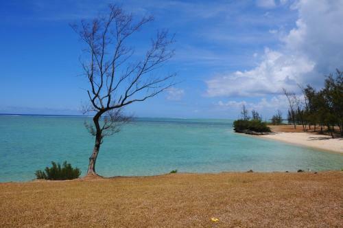 The Kiter?s Nest Baie Du Cap