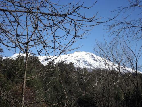 Hostal Los Alamos Neltume