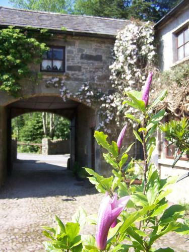 Ballinacourty House B&B