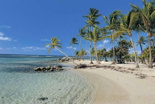 Cambourg Lodge Resort