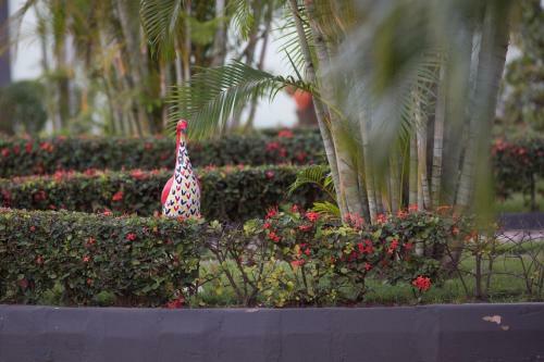 Apartamento Travellers Palm Court
