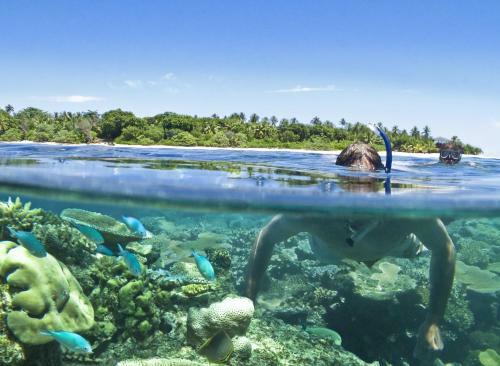 Hotel Vomo Island Resort