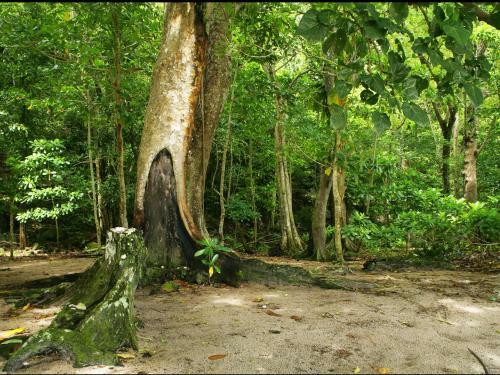 Hotel Matangi Private Island Resort - Adults Only