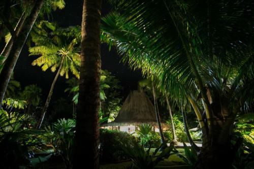 Hotel Qamea Resort & Spa