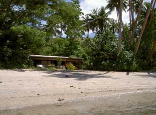 Hostal Dolphin Bay Divers Retreat