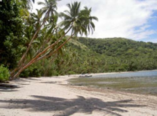 Hostal Dolphin Bay Divers Retreat