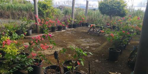 Agroturismo Mountain Oasis Farm Stay