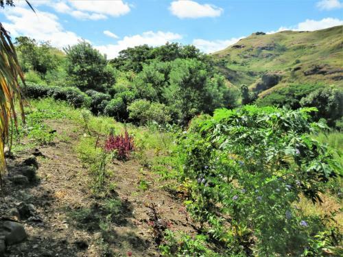 Agroturismo Mountain Oasis Farm Stay
