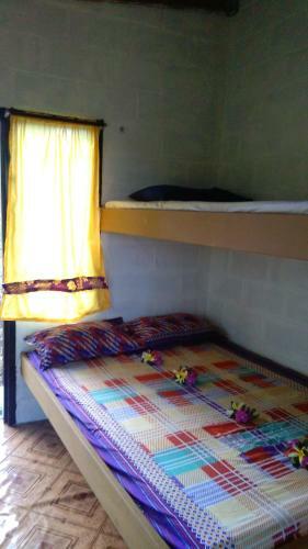 Hostal The Beehive Fiji