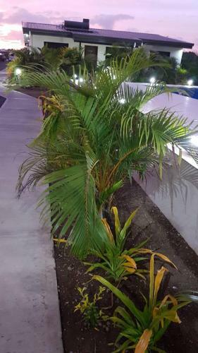 Nadi Airport Apartments