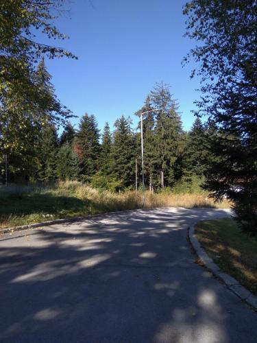 Apartment In Borovets Gardens C17