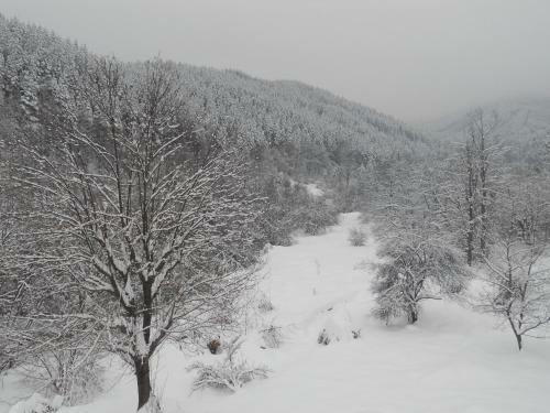 Hostal Guest House Pandukov