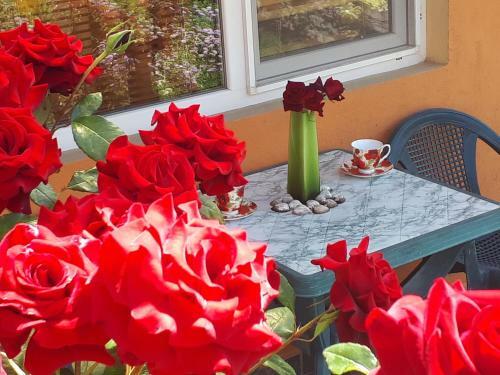 Hostal Dom Zaharievi