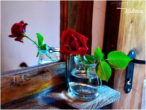 Kalinia Guesthouse B&B