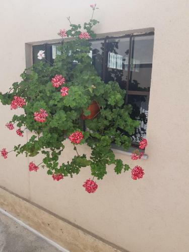 Hostal Villa Ros Guest House