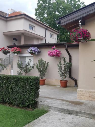 Hostal Villa Ros Guest House
