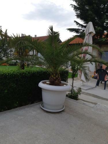 Hostal Villa Ros Guest House