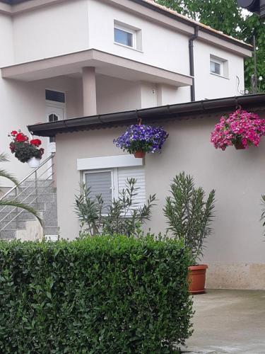 Hostal Villa Ros Guest House